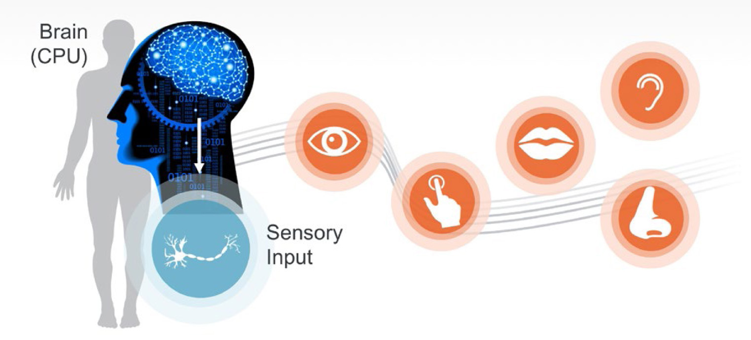 Human biology sensing