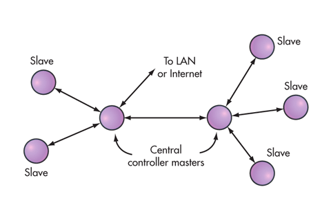Tree network topology